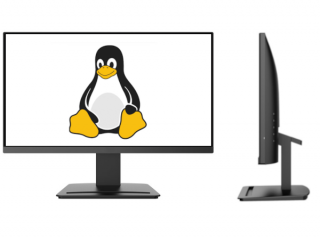  22&quot; Class Full HD HDMI &amp; DisplayPort Monitor (TPE-22MSI1080)