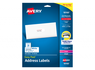 Avery Mailing Address Labels 1&quot; x 2-5/8&quot;, 300 Labels (TPE-AVRMAILYLB)