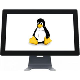 Penguin All-in-One