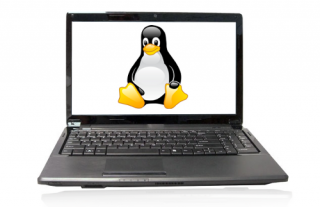 Penguin International GNU/Linux notebook